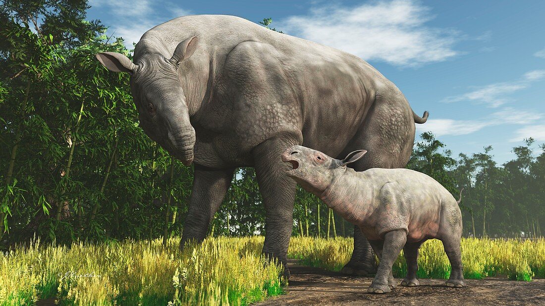 Adult and child extinct mammal Paraceratherium illustration
