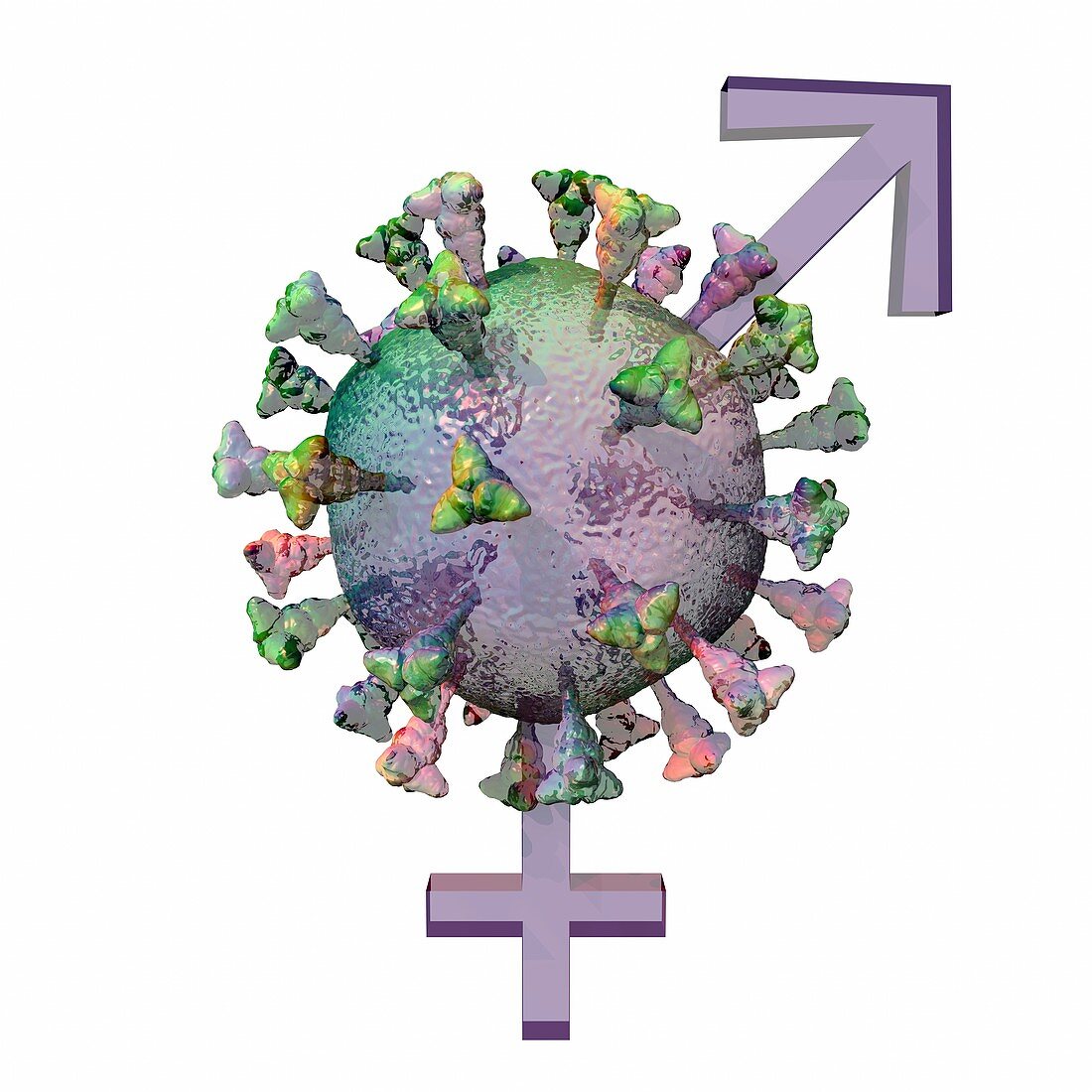Covid-19 and gender, conceptual illustration