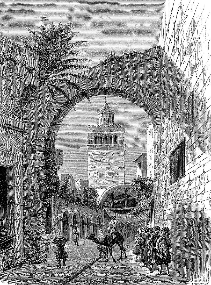 City gate, Tunis, Tunisia, 19th century illustration