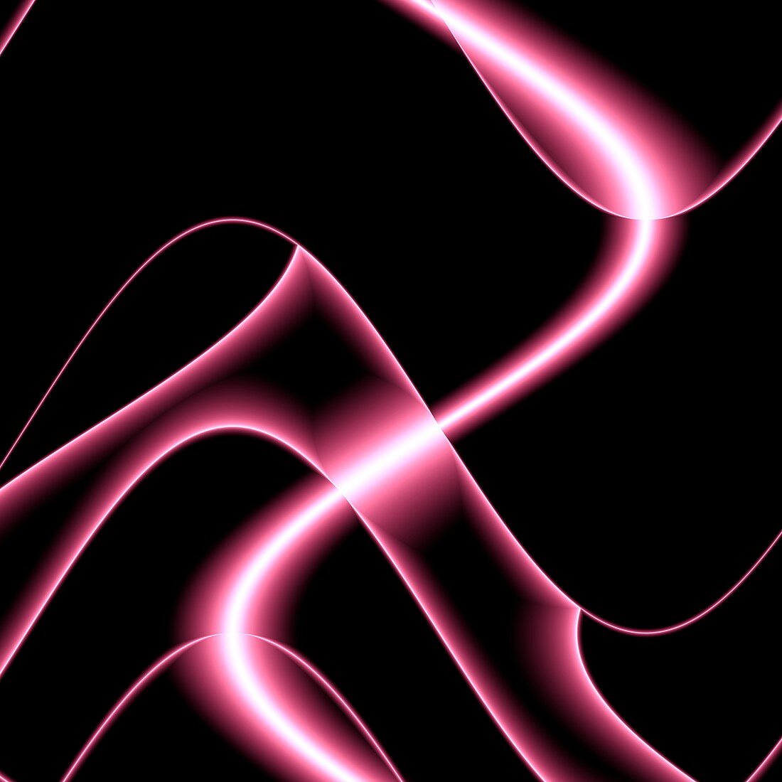 Pink wavy lines, illustration