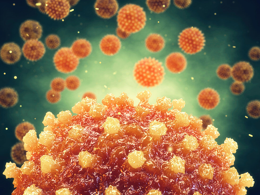 Hepatitis viruses, illustration