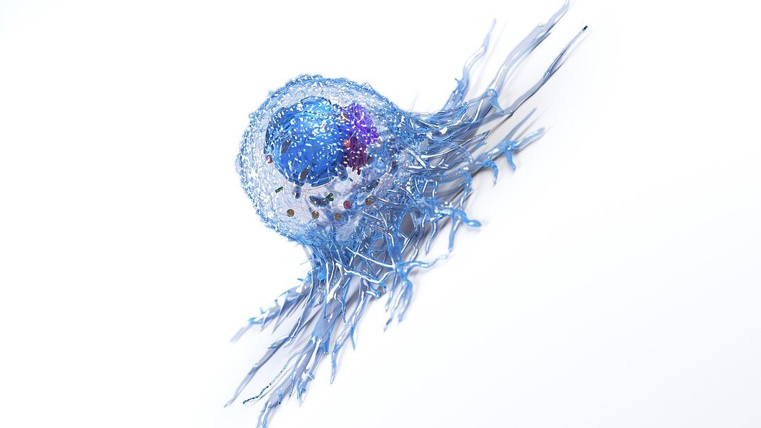 Cancer cell, illustration