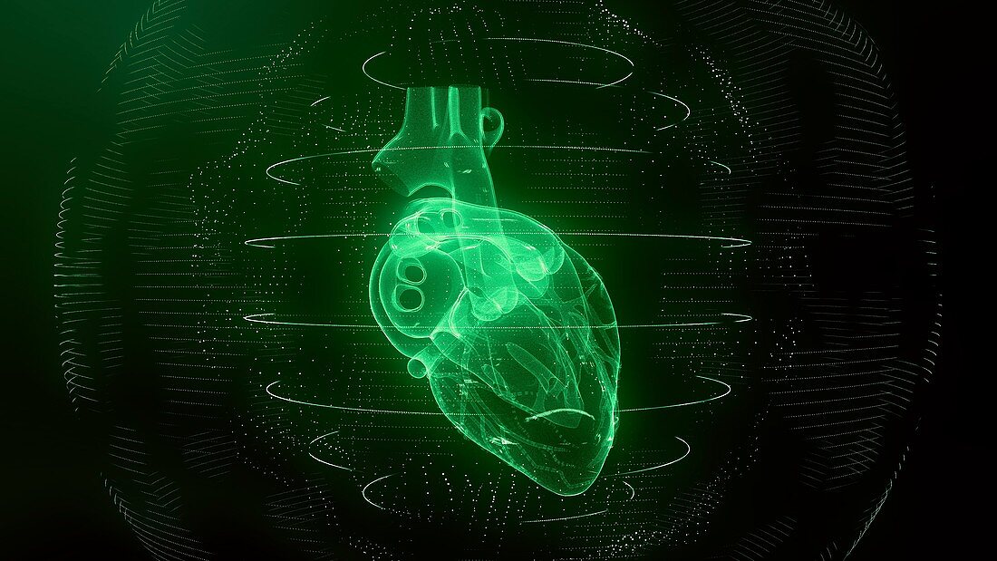 Heart scan, conceptual illustration