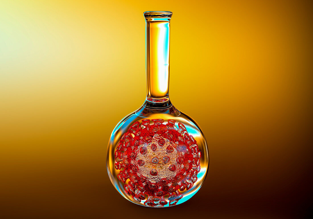 Covid-19 coronavirus in a laboratory flask, illustration