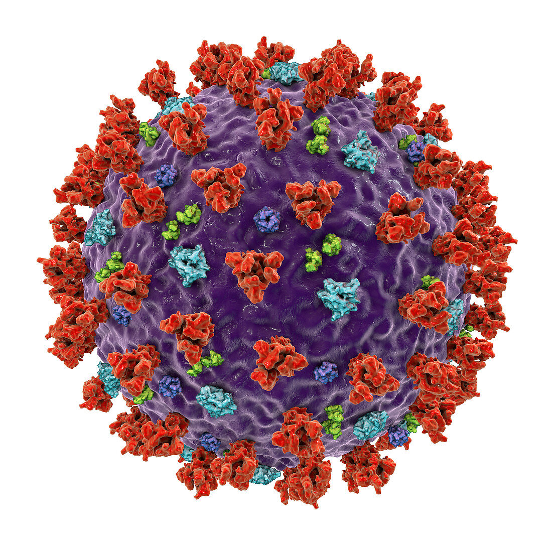 Covid-19 coronavirus particles, illustration