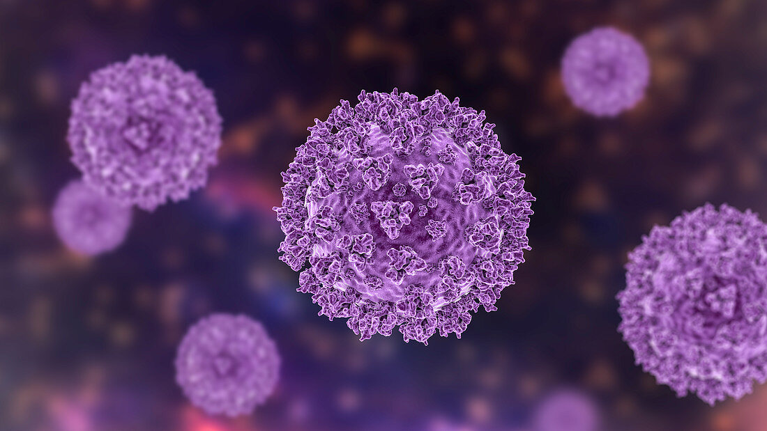 Covid-19 coronavirus particles, illustration