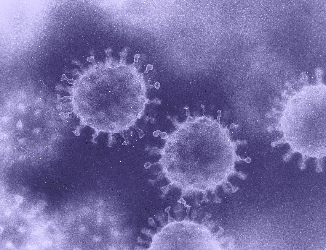 Virus particles, illustration