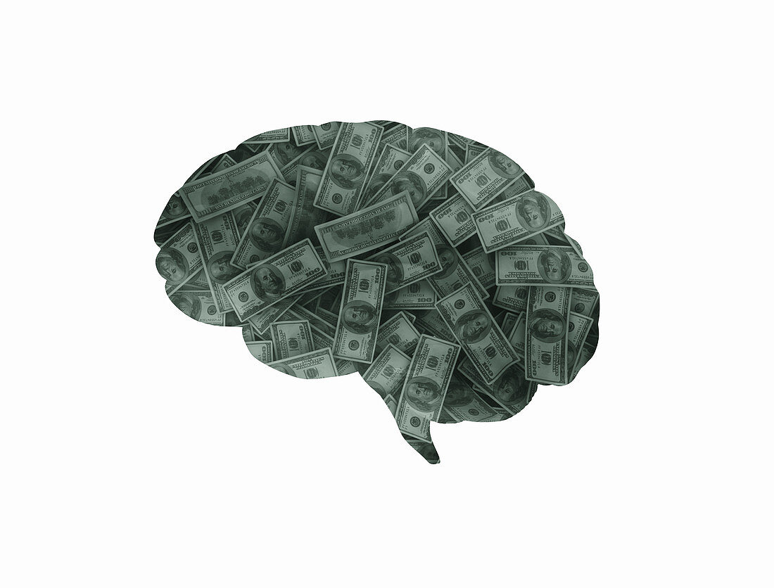 Human brain made from money, illustration