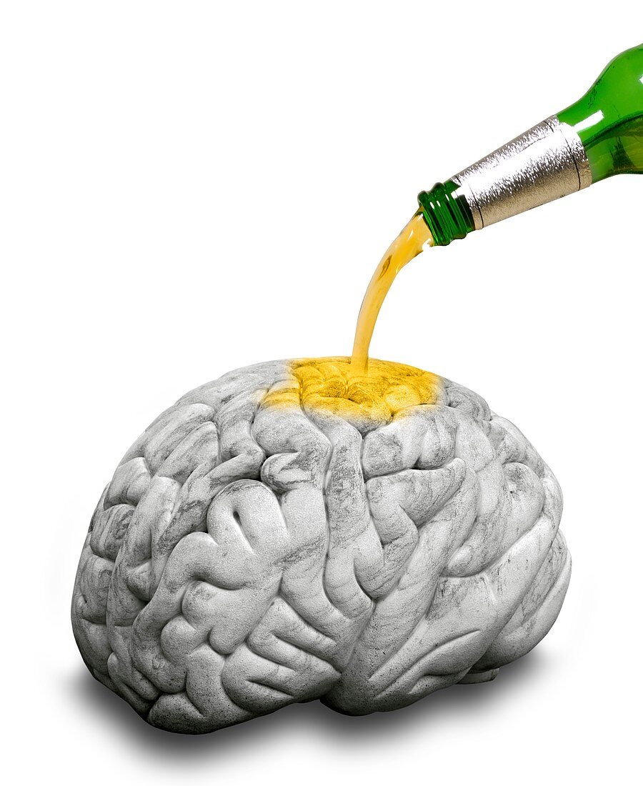 Effect of alcohol on the brain, conceptual image
