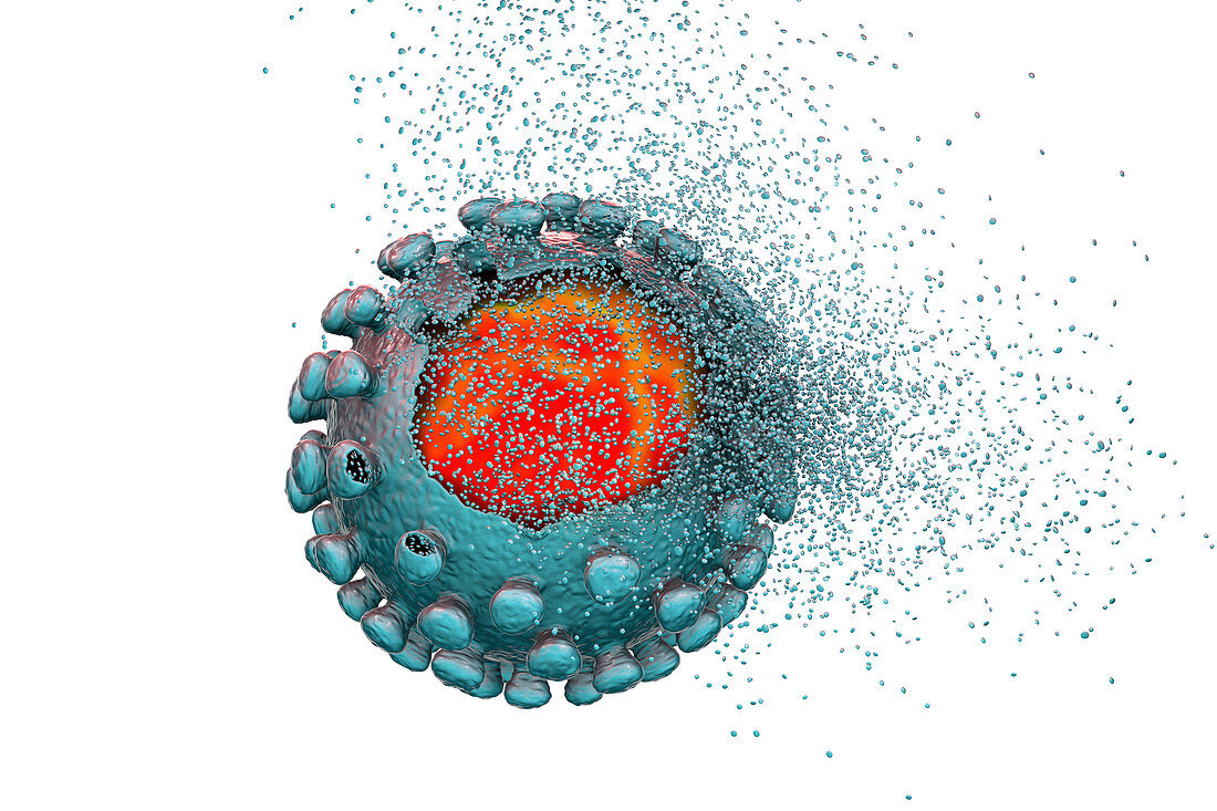 Eradicating covid-19 coronavirus, conceptual illustration