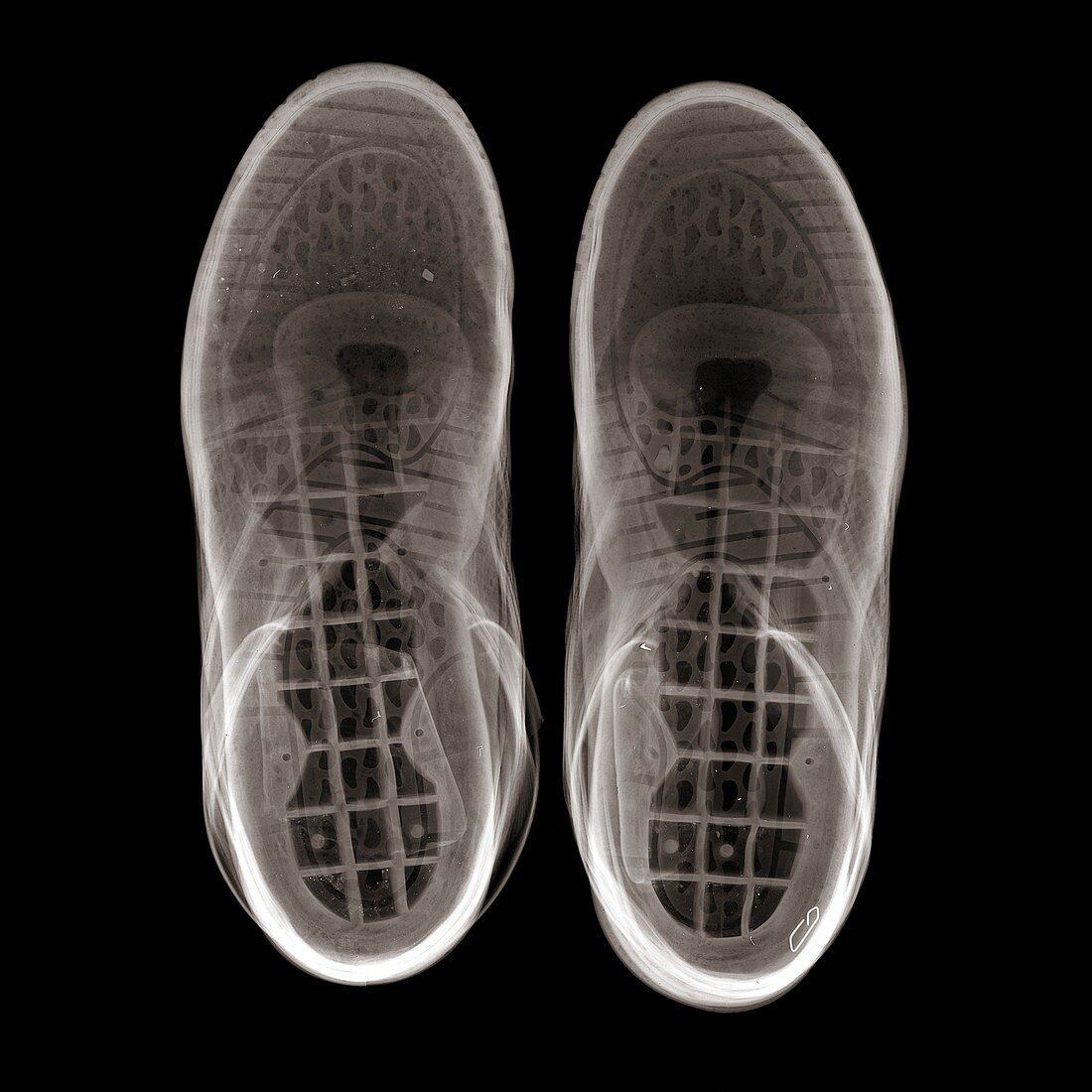 Trainers from above, X-ray