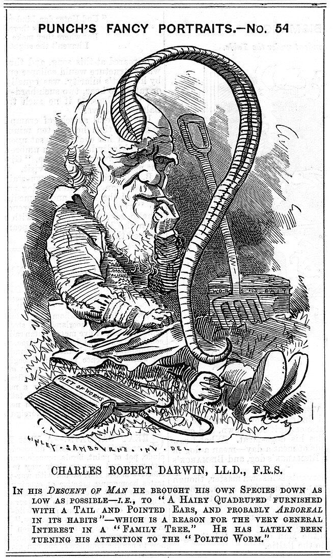 Charles Darwin, English naturalist, 1881