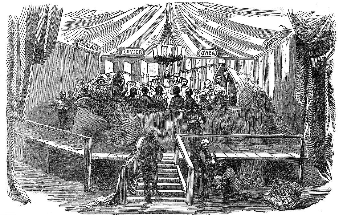 Naturalists dining inside a model dinosaur, 1853