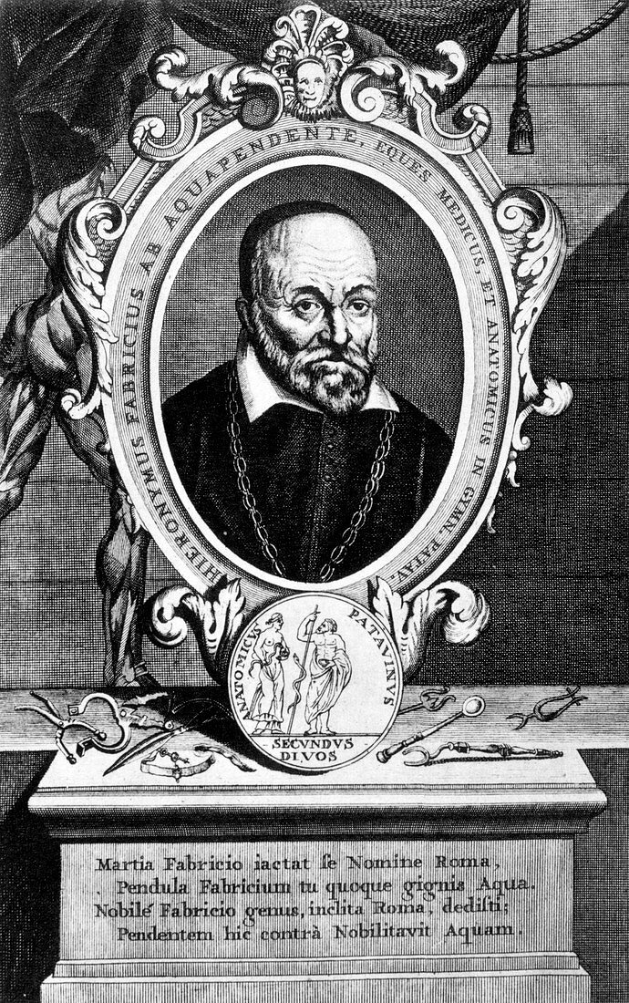 Girolamo Fabrici, Italian anatomist and surgeon