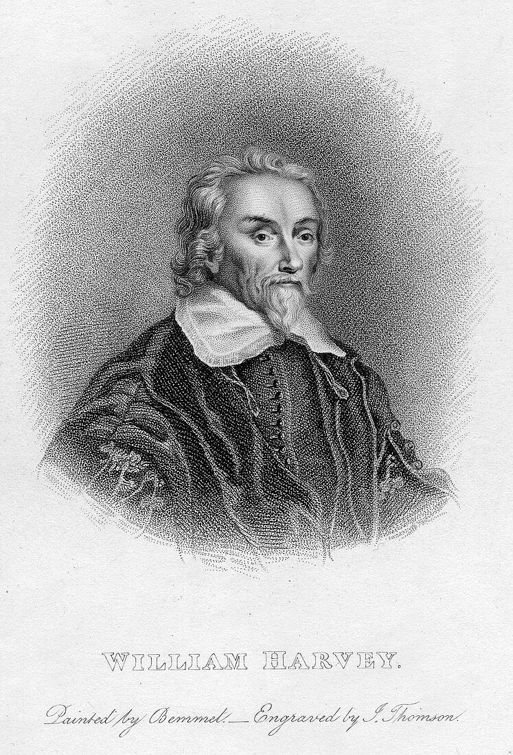 William Harvey English physician, c17th century