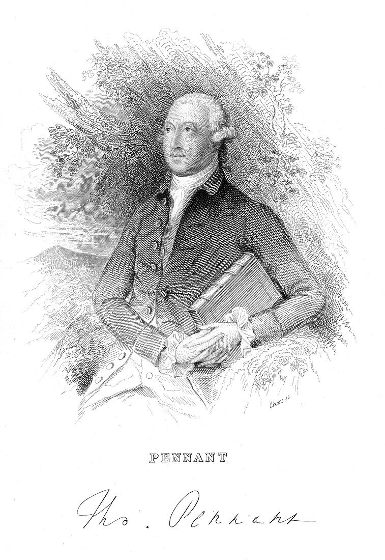 Thomas Pennant, British naturalist and traveller