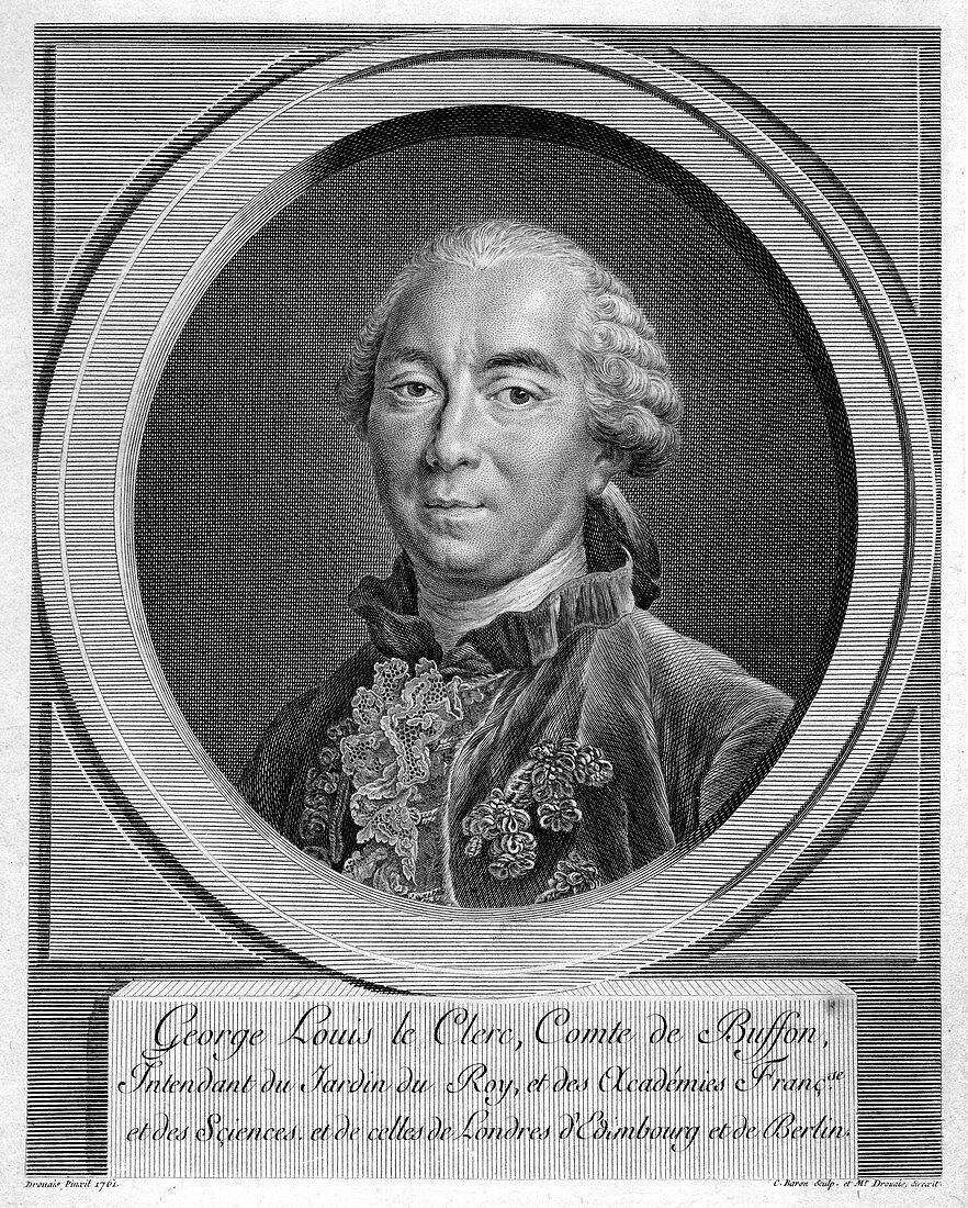 Georges-Louis Leclerc, Comte du Buffon, French naturalist