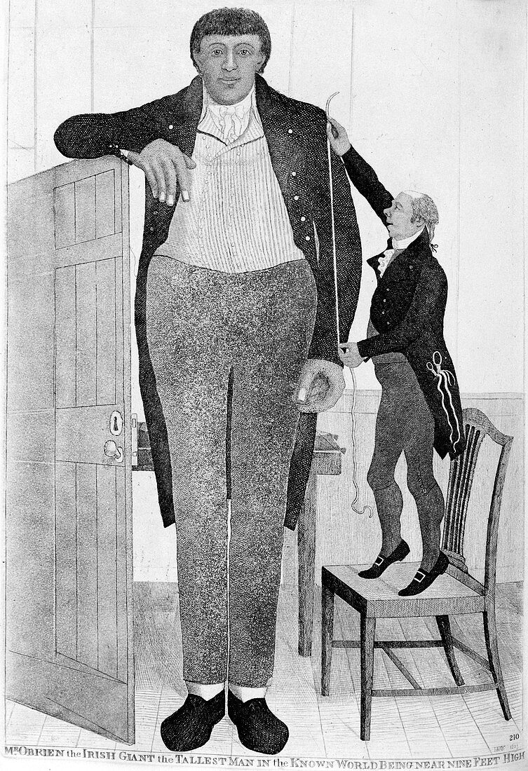 Mr O'Brien, the Irish Giant', 1803.