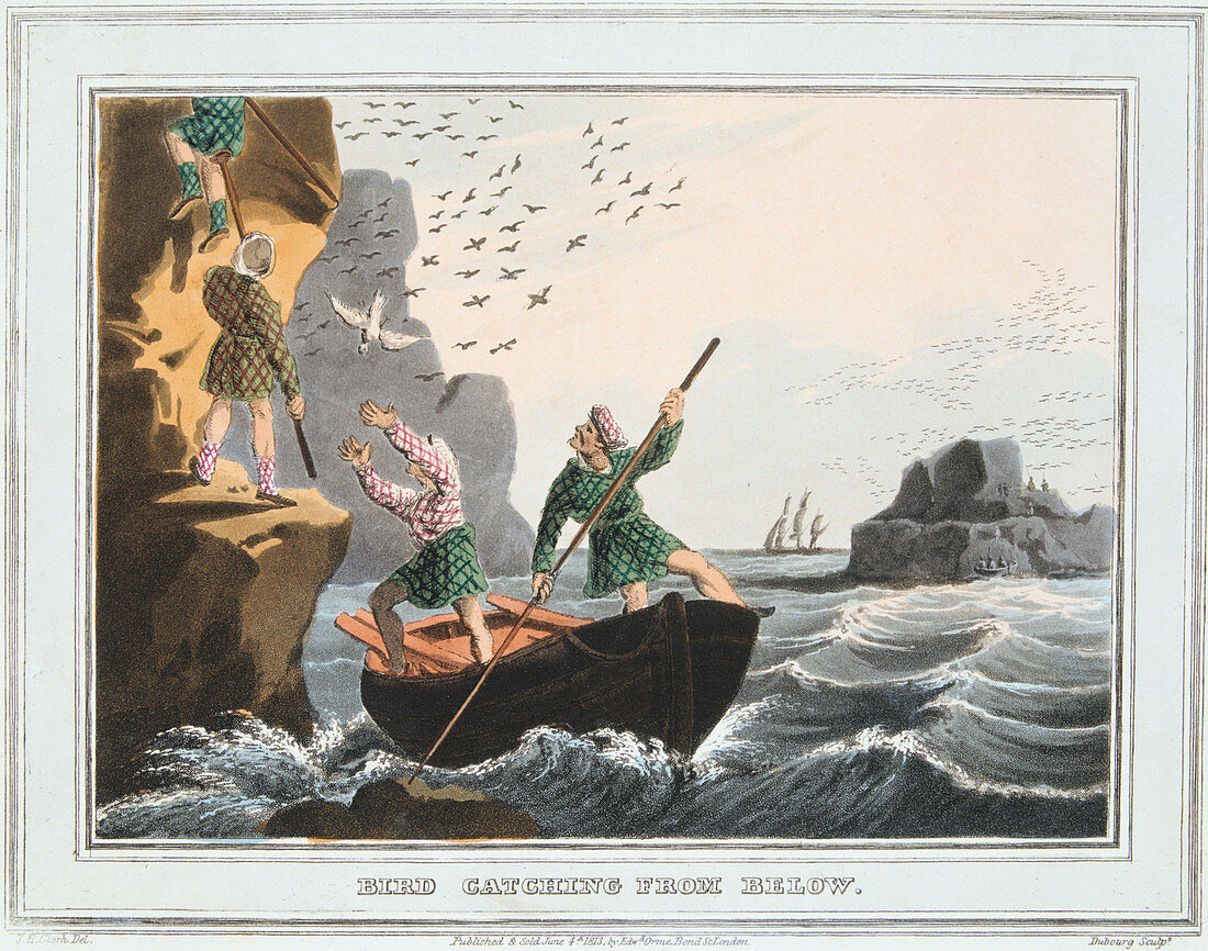 Bird Catching from Below', Shetland Islands, 1813