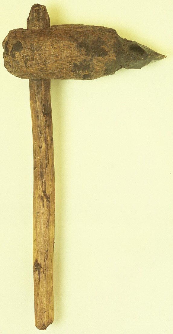 Prehistoric axe