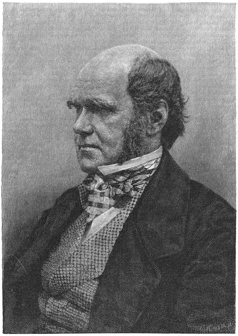 Charles Darwin, English naturalist, 1884