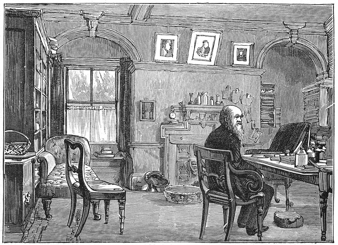 Charles Darwin, English naturalist, in his study, c1870