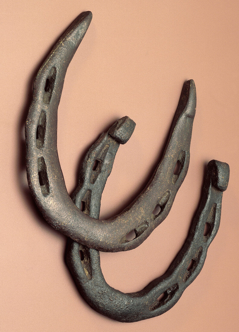 Horseshoes, 12th century