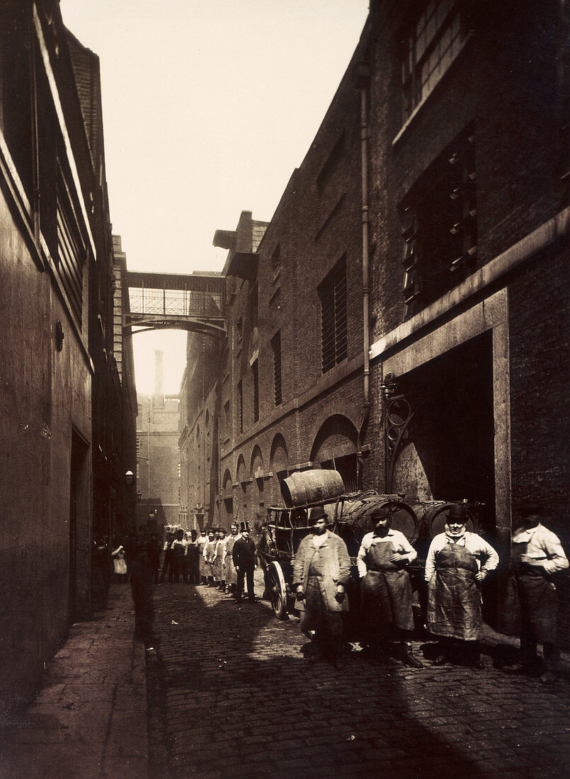 Combe and Co's Brewery, Castle Street, London, c1875