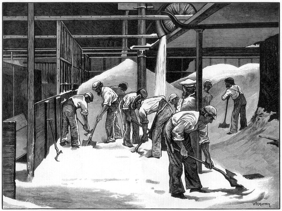 Sugar making at the Counterslip refinery, Bristol, 1873