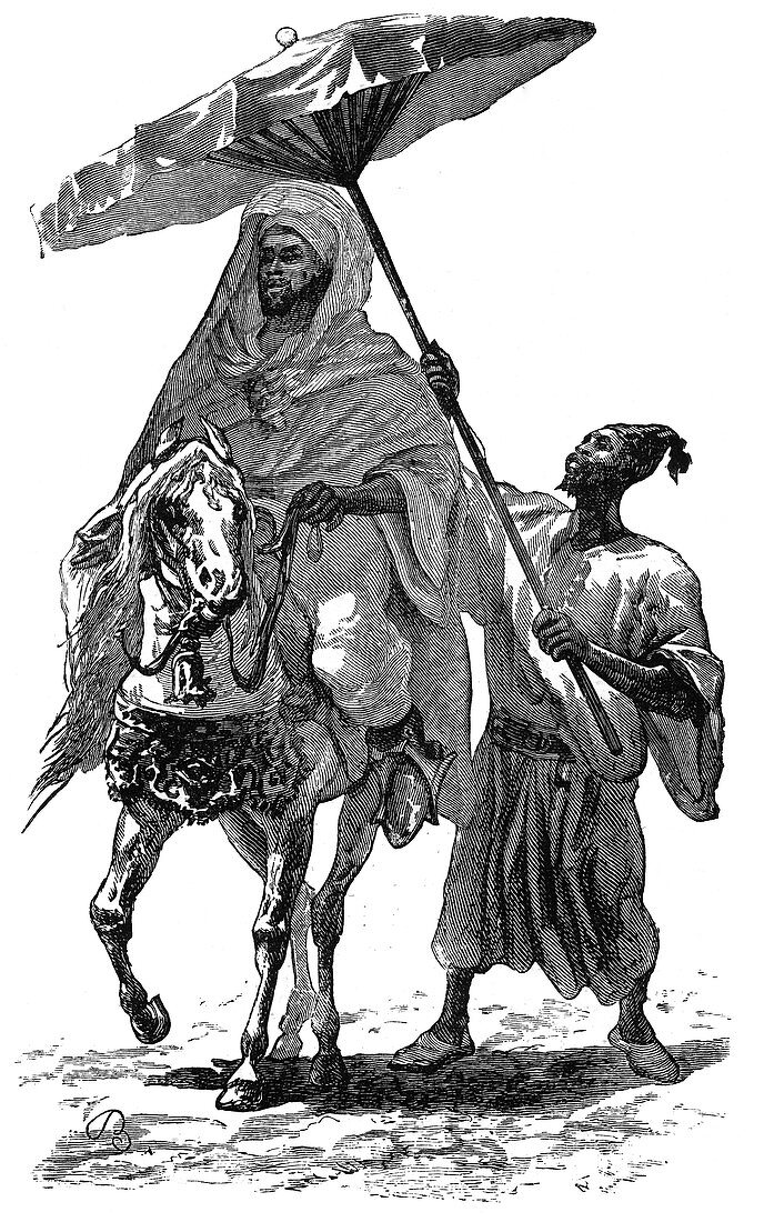 The Sultan of Morocco, c1890