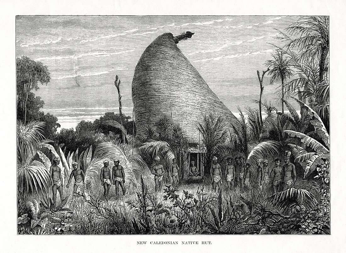 New Caledonian Native Hut', southwest Pacific, 1877