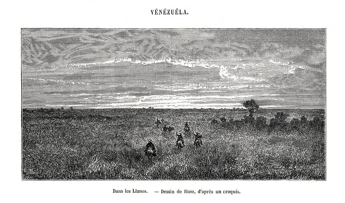 Los Llanos, Venezuela, 19th century