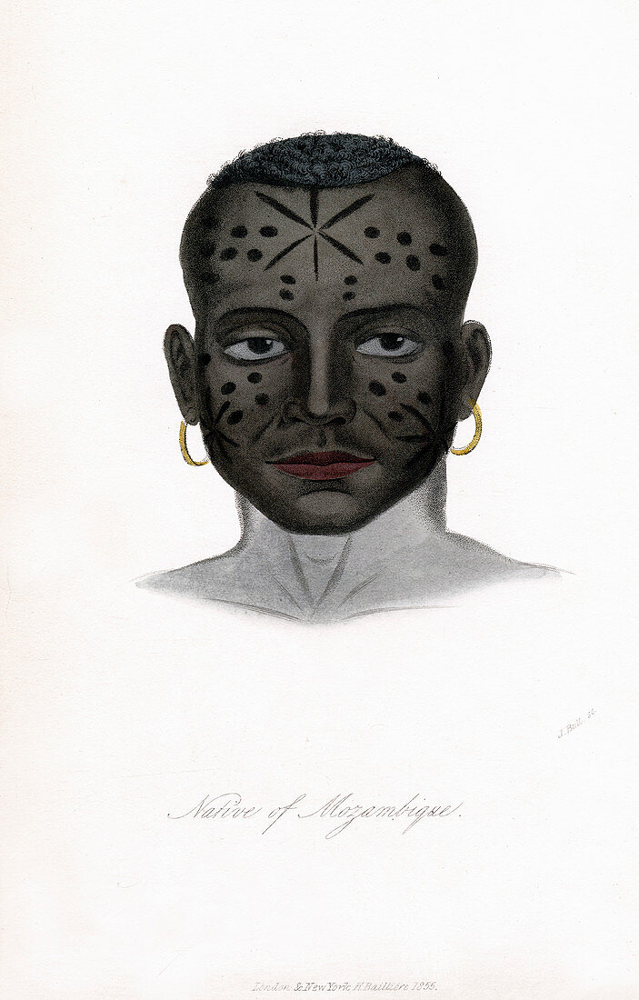 Native of Mozambique', c1850
