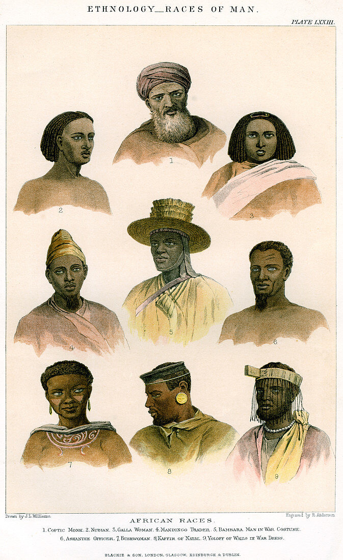 Ethnology, Races of Man', 1800-1900