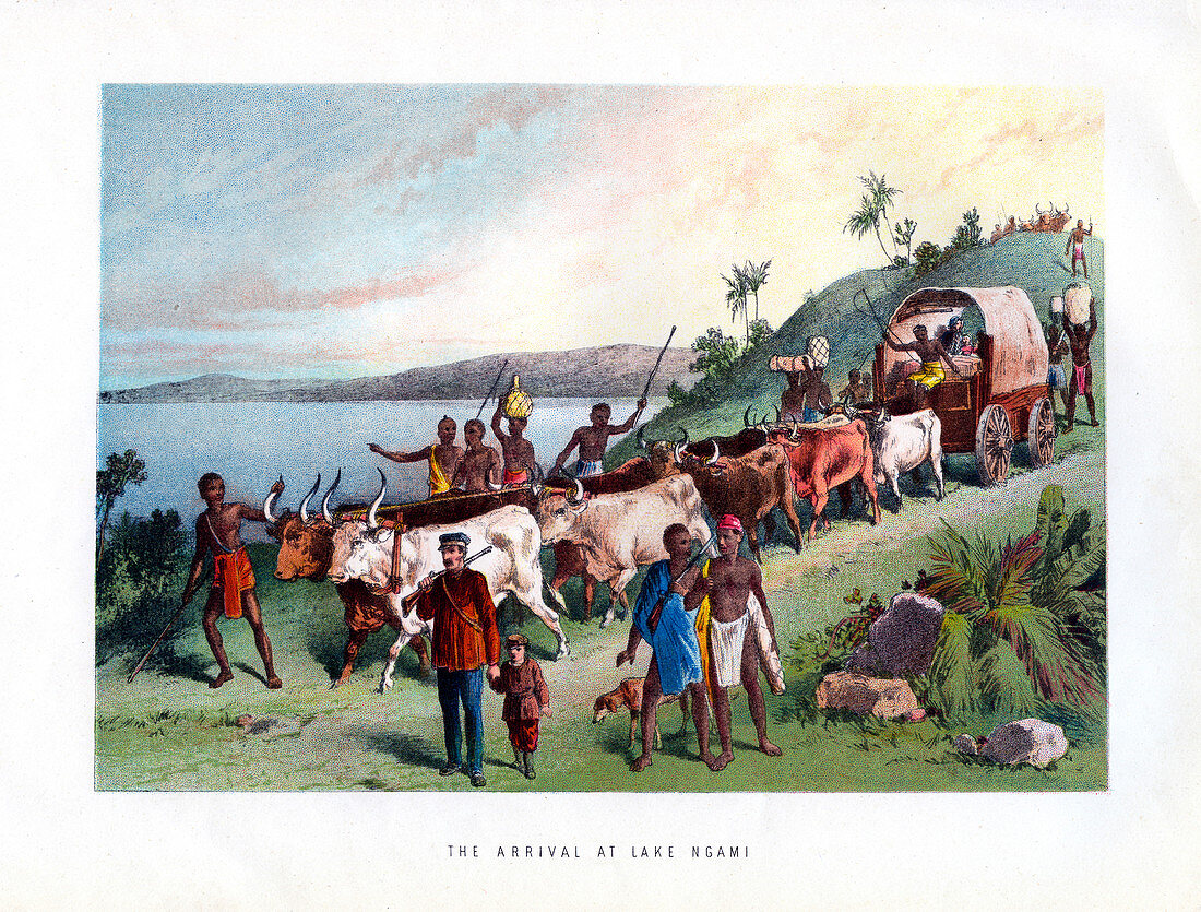 The Arrival at Lake Ngami', 19th century