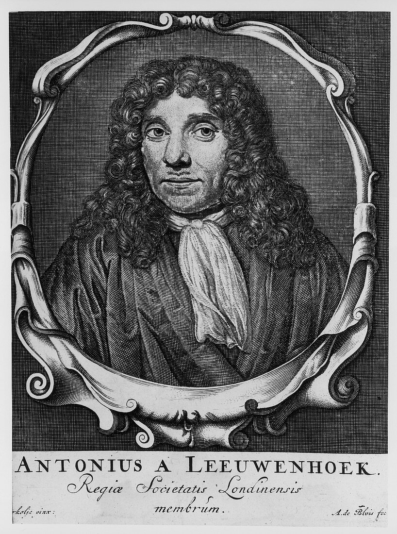 Antoni van Leeuwenhoek, Dutch pioneer of microscopy, c1660