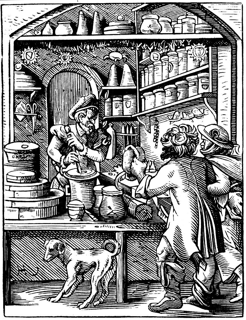 The Druggist's Shop, 1568