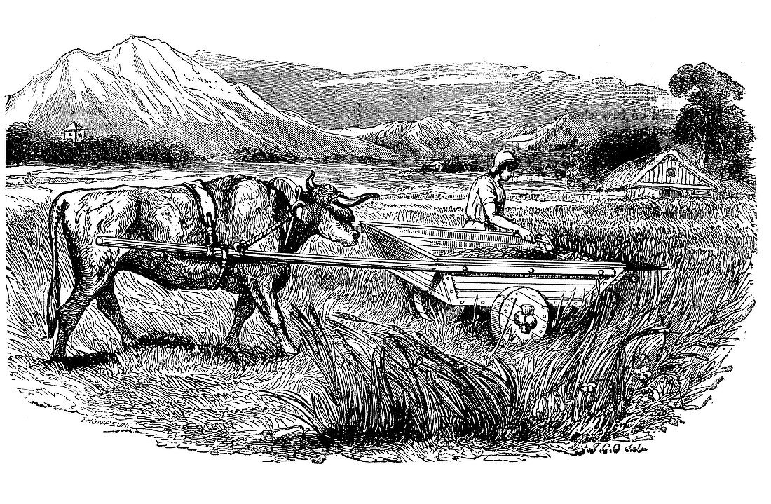 Reconstruction of Roman reaping cart, 1860