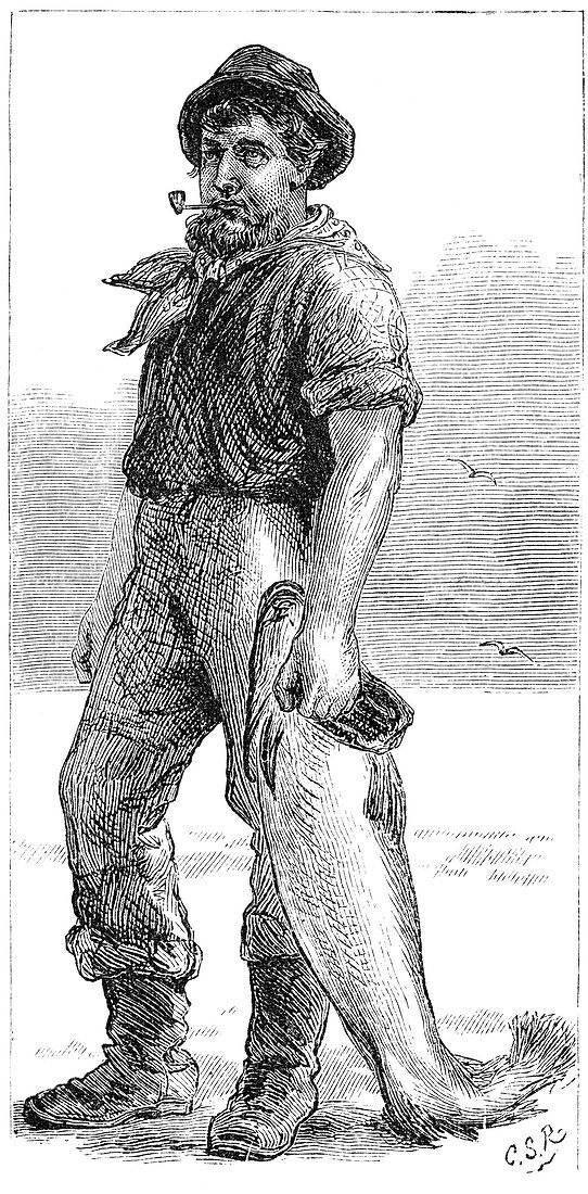 Typical Cape Cod fisherman, 1875