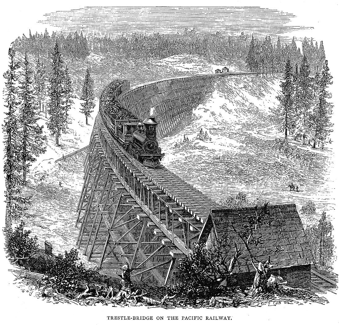 Trestle Bridge on the Union Pacific Railroad, USA, 1876