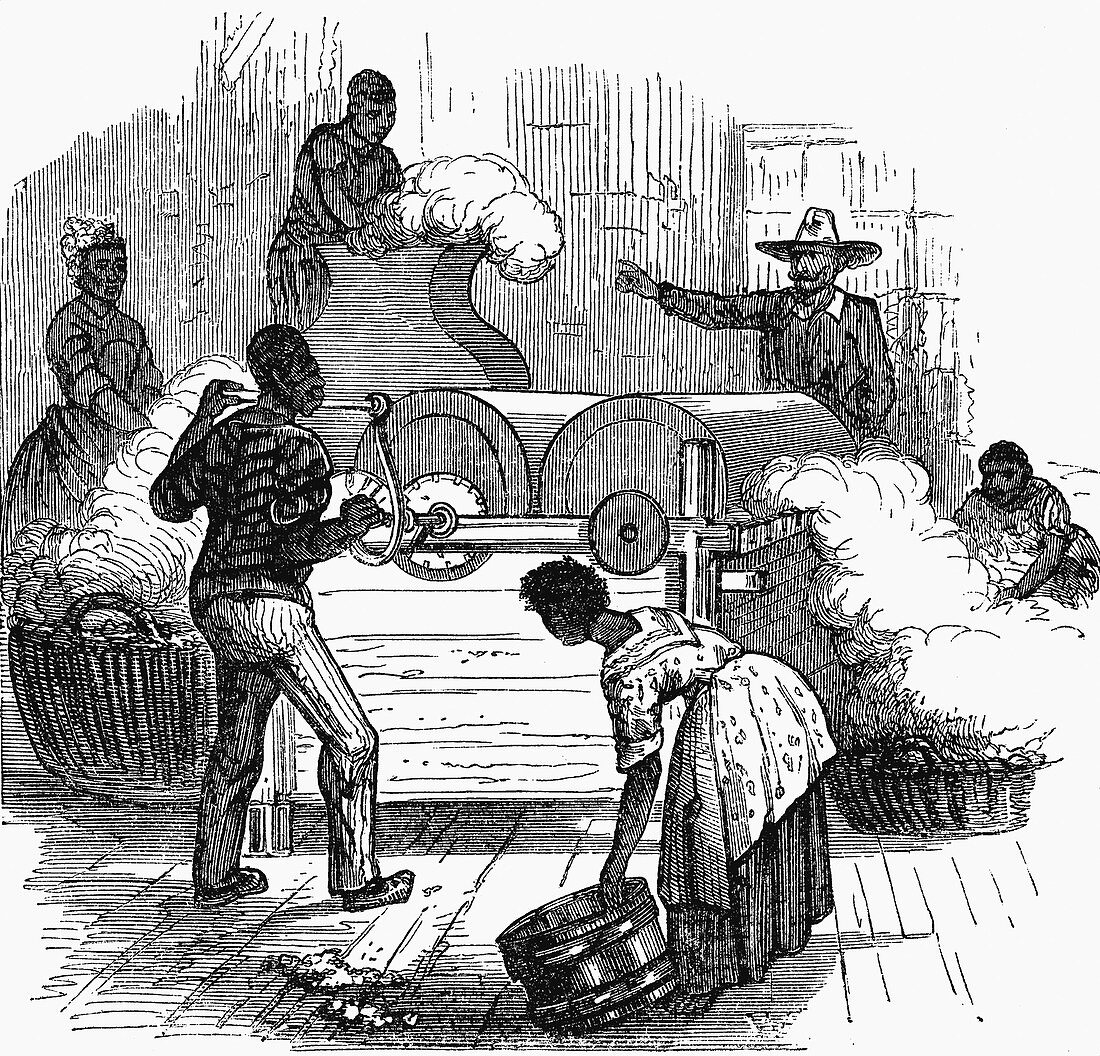 Slave labour on a cotton plantation, southern America