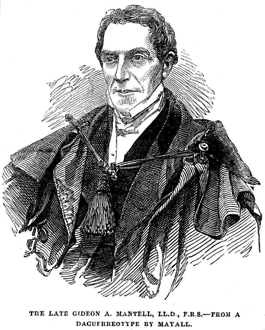Gideon Algernon Mantell, English geologist, 1852