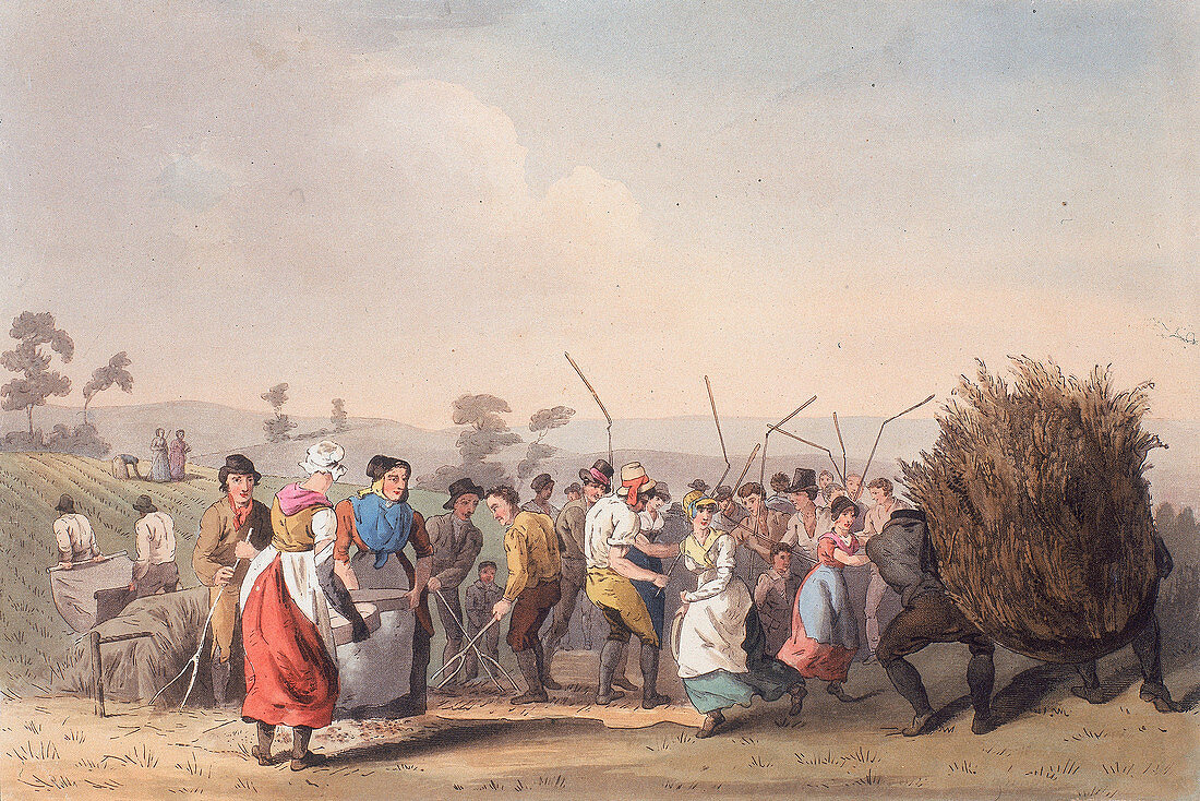 Rape threshing, 1st November 1813