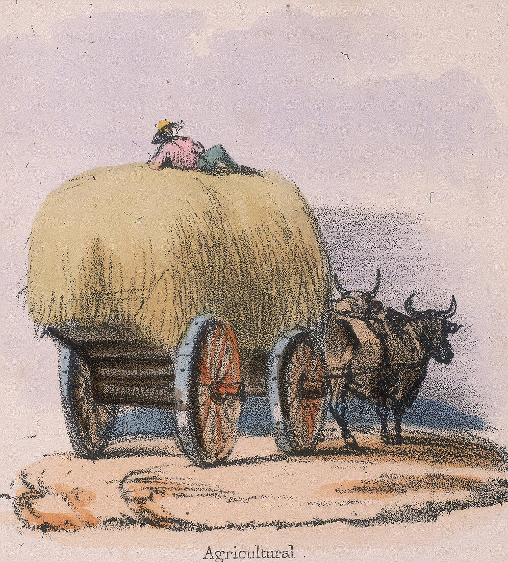 Agricultural', c 1845
