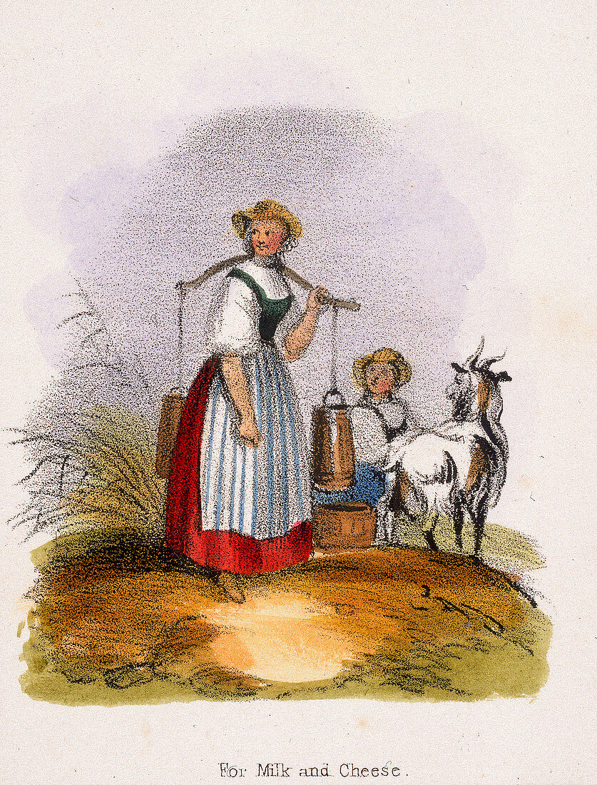 For Milk and Cheese', c1845
