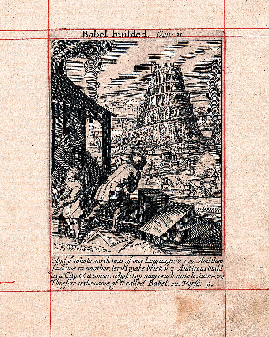 Building of the Tower of Babel, 1716