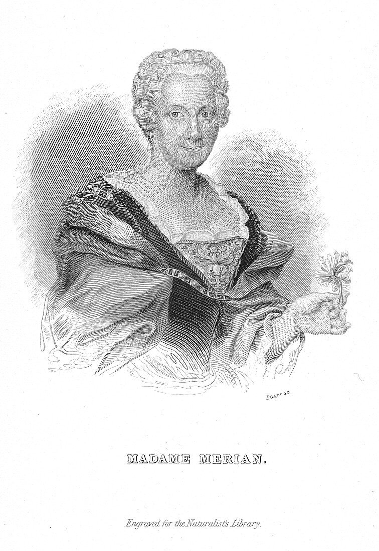 Maria Sibylla Merian, German naturalist and flower painter