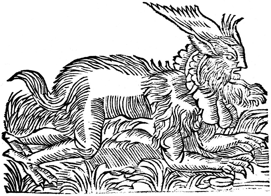 Lycanthropy: forest demon captured in Germany in 1531