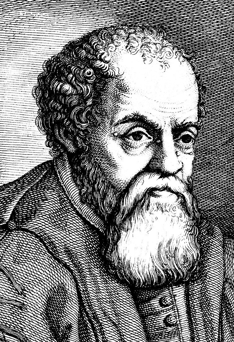 Ulysses Aldrovandi, 16th century Italian naturalist