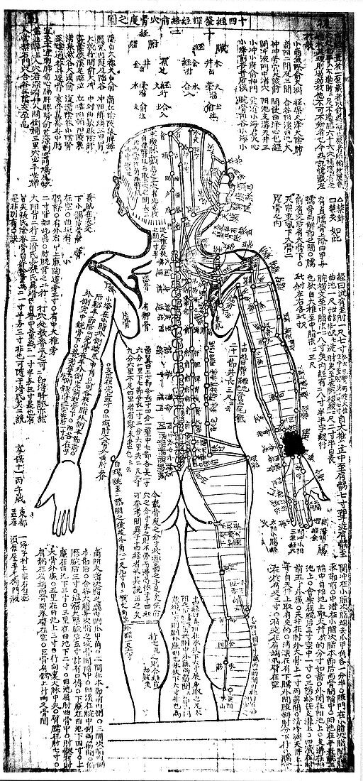 Acupuncture chart for the rear of the body, Japanese